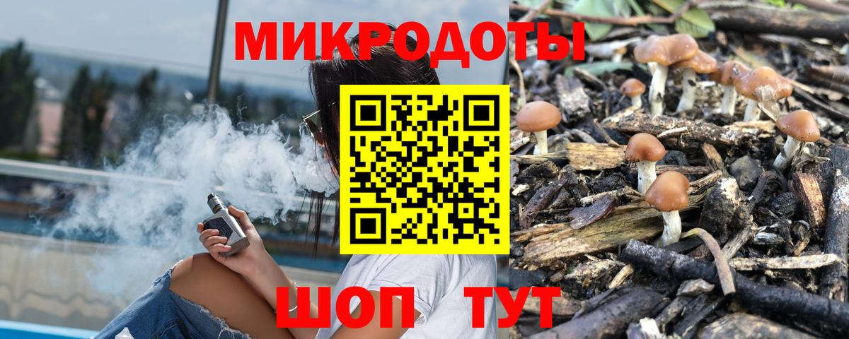 Черкесск  Галлюциногенные грибы прущие грибы  Вход с VPN 