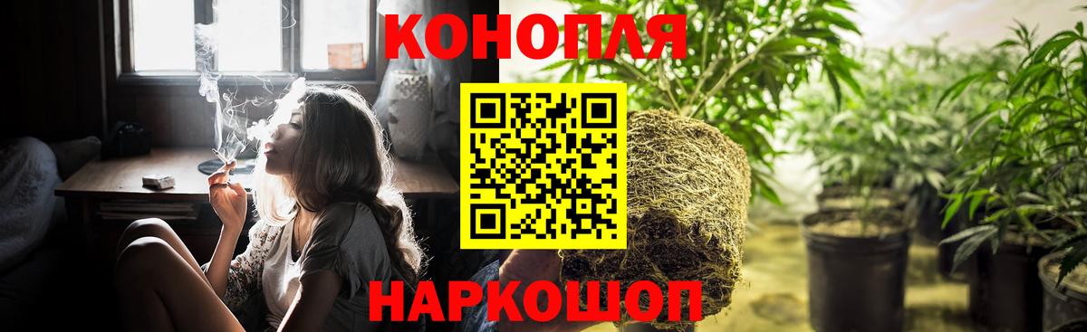 Бошки Шишки ГИДРОПОН Черкесск